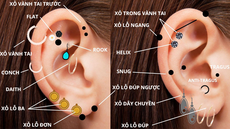 Bấm lỗ tai có đau không ? 