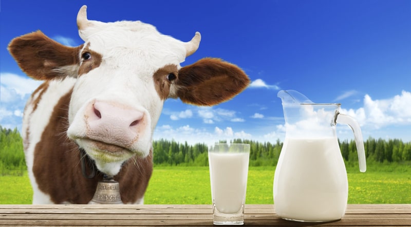 Cắt mí mắt có được uống sữa không ?