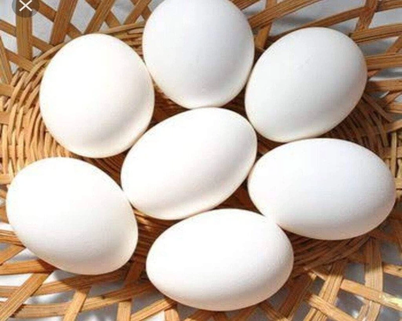 Phun môi kiêng trứng bao lâu