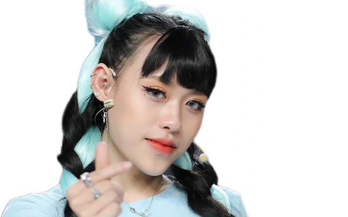 TikToker nhiều follow nhất Việt Nam