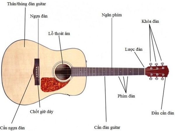 Tự học đàn guitar tại nhà